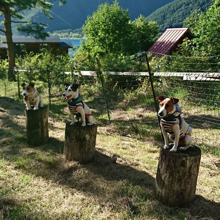 41128b2c 2144 4391 8b7b a30ea074ea8c 1534922141830