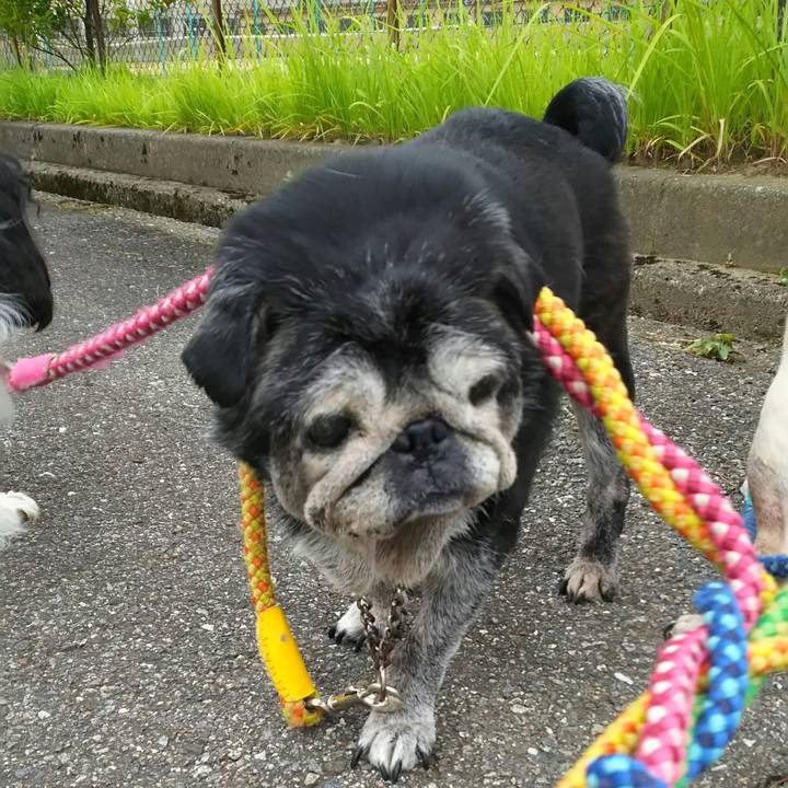 41128c97 4dad 49df 978a e7d19adf52bb 1538918829718