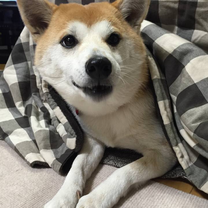 41129646 dd5d 44b6 801b 5f66353907a6 1515928452457