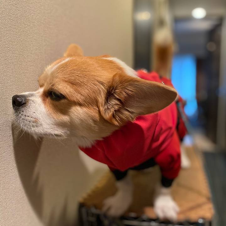 4112a107 1789 4607 8ebc e50f173b1180 1634872661700