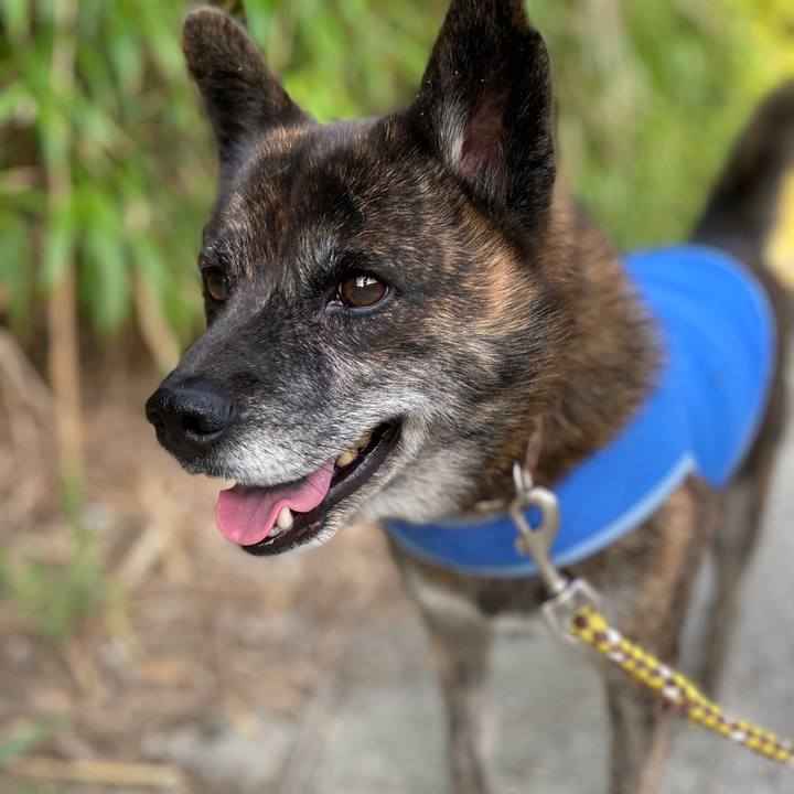 4112b48c 1747 4873 8536 ea580c32e1e2 1599469961218