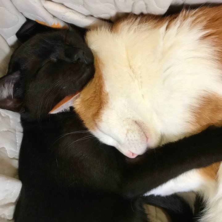 4112c360 c44d 429c 9e34 cd45e4bcda0a 1570279967562