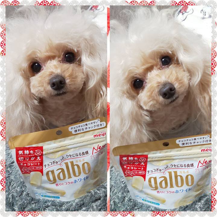 4112e2a1 cb44 42d9 a399 1c452354faa3 1636630091287