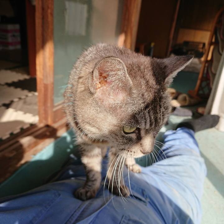 411310ea 2336 44db b86a 6d52020b7177 1570951395824