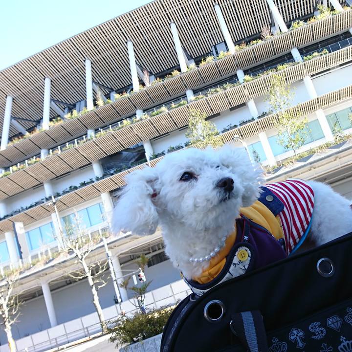 411329ee baec 4205 9a35 a88f1a92eca8 1580556735568