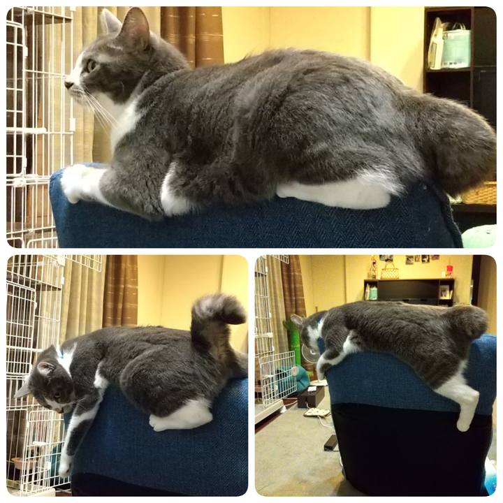 4113358d fec2 4822 9333 88aa9f86c9d2 1633952384430