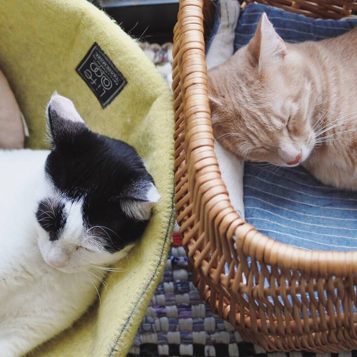 41135ed6 8242 40ea a51a 8fbf04a10d64 1567607037507