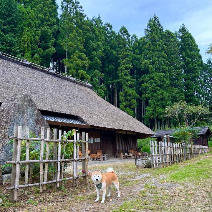 4113b7c0 7ff4 4ee5 9f61 8ae31a92882c 1726743624614