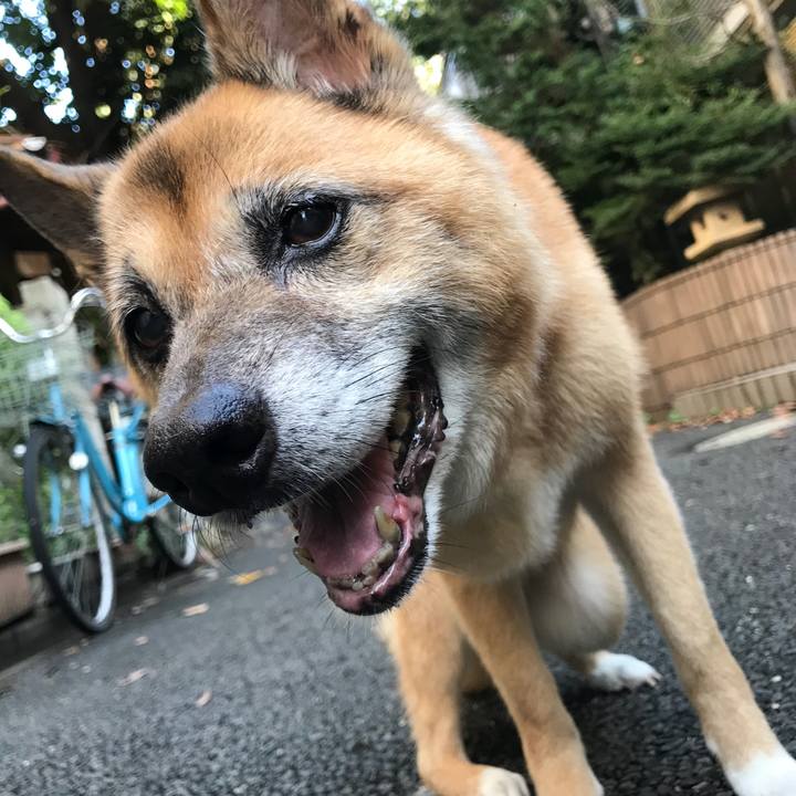 4113f509 a4eb 4093 8c51 33fbd5da2c0e 1534198922418