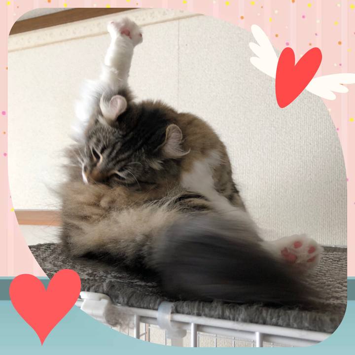 4113f717 4574 4b26 bcfe a1191e5a8aed 1551430000790