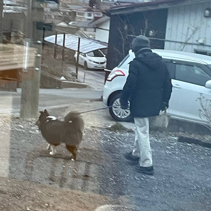 4114133e 6ad9 4099 94d9 c789df103d01 1612216526530