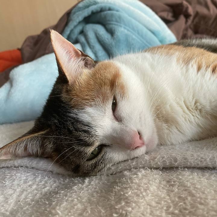 41141cd7 d5c1 47b1 8c89 4b9baf585b80 1645736161799