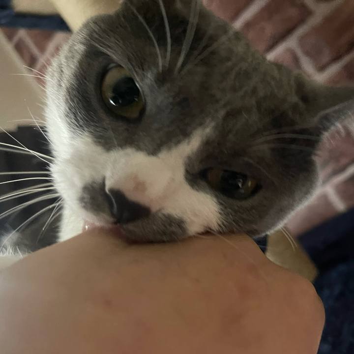 411432f8 b409 4f0f 8990 744c05fece51 1626340995539