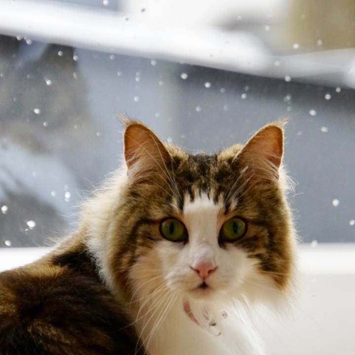 4114330c 150b 4019 8d27 b203acdc7463 1556589504284