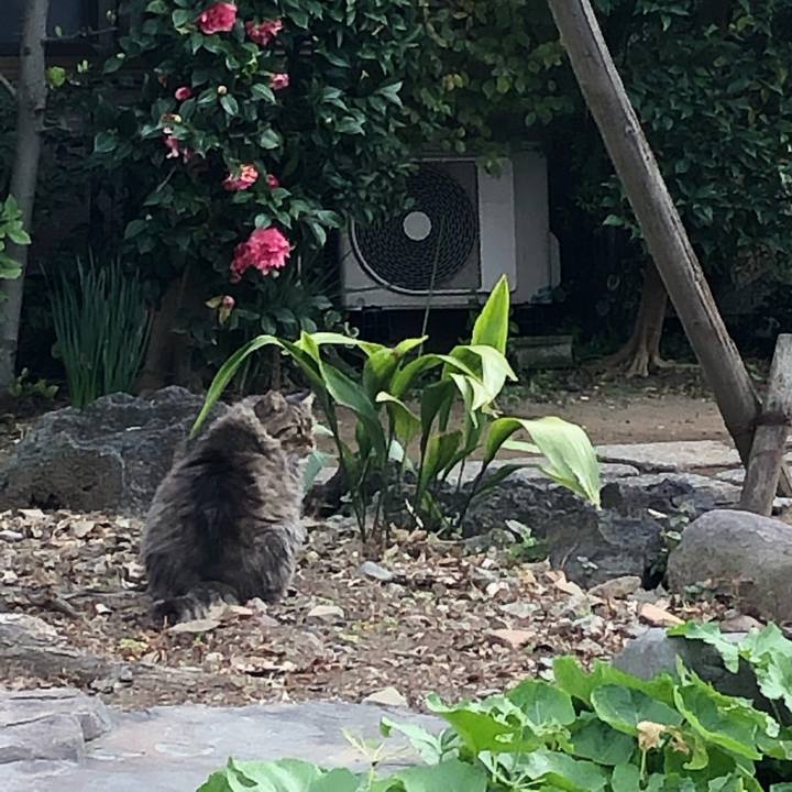 4114b221 60f6 4a17 ba6b 5de3d7c7b94f 1543829070770