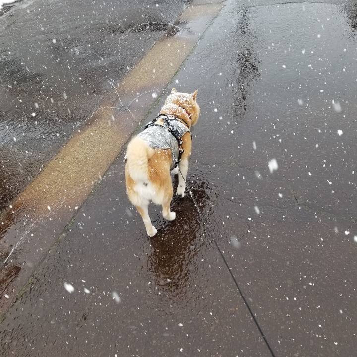 4114fc6d 08dd 415d a9b2 848283cc2692 1741317792351