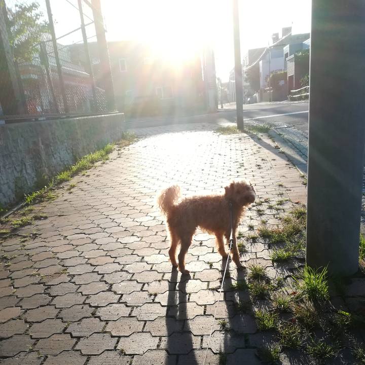 4114fc88 62fc 4eee 8aac 10d03ae90102 1534712197728