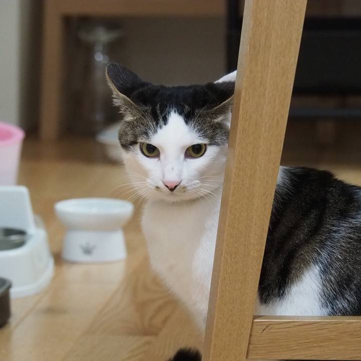 411529c1 3f54 4ef8 900c dd29650686ad 1546937203237