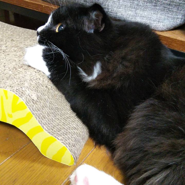 41152f2b 0edb 4b2a bf00 8a416705b93b 1651497016782