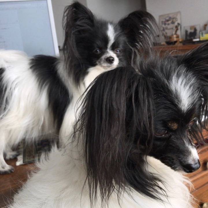 41157015 6cfb 46e4 85d4 14f7c071f88a 1548154520665