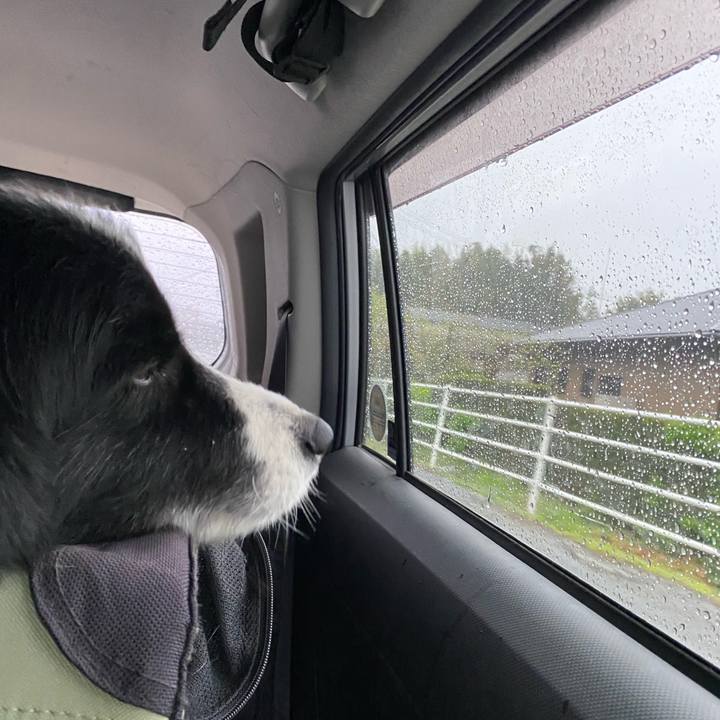 411580fc b2df 4512 997a e3a9c900100d 1648678405063