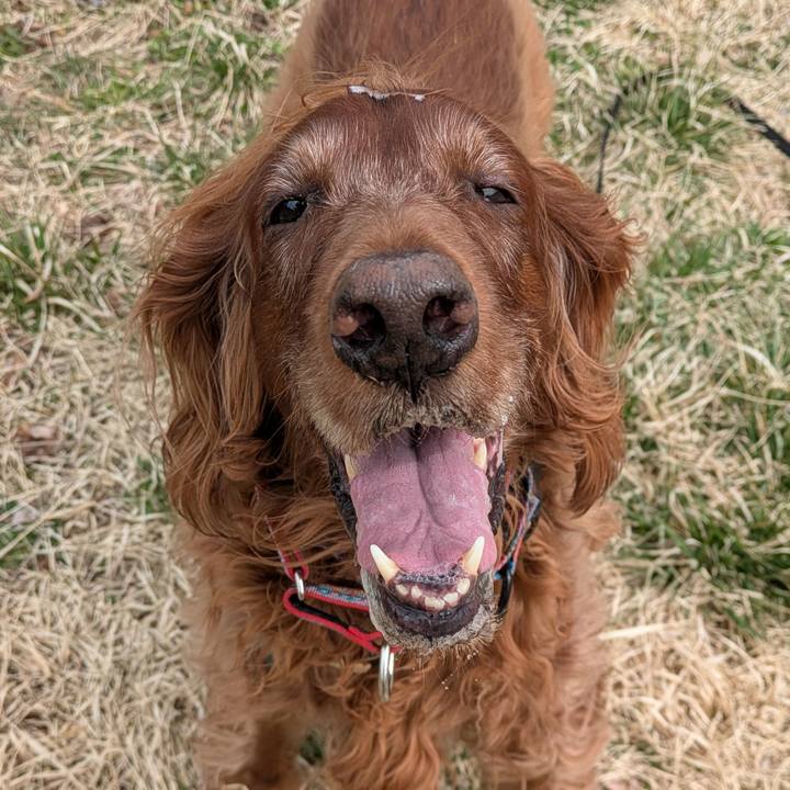 411582b3 8548 4f4a a746 90f69380bbe3 1775115734932