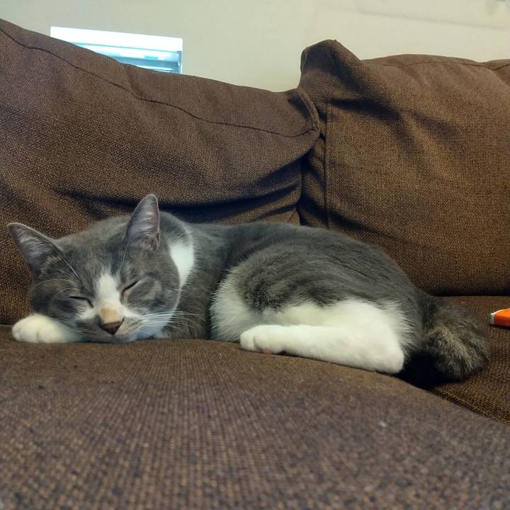 41159489 811b 42e7 9a50 128f889d3acc 1631084368016