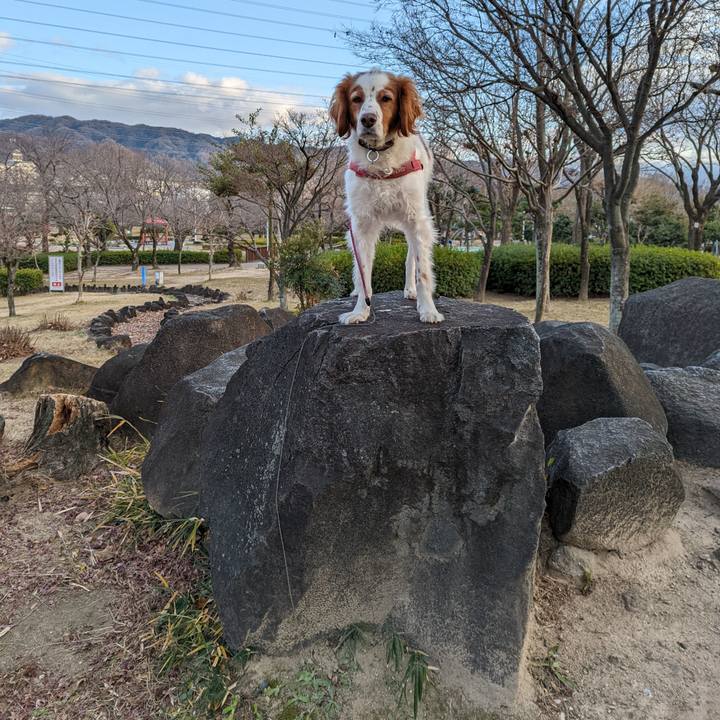 41159ca7 13f6 41b5 9418 5fb5d47f6790 1641426551477