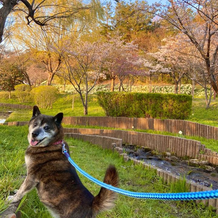 4115a454 7738 4377 837e 5f0e6a21a9e4 1680514628944