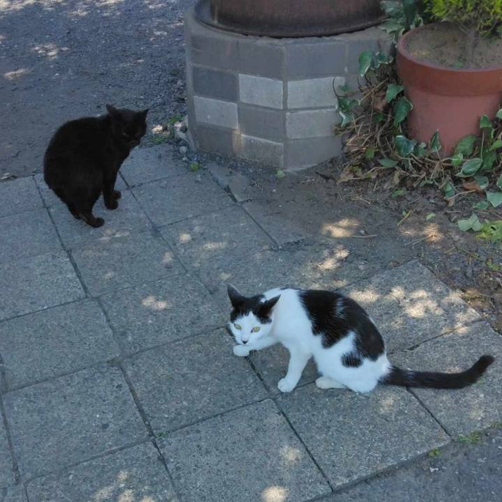 41163f7a baa7 4130 b5e9 097464a7a2bc 1718347128936