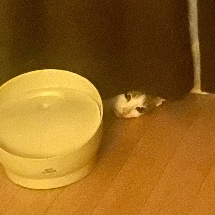 411647e2 a6fe 4b3e a624 8ad9eef53266 1633192780007