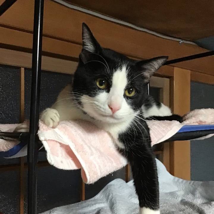 411650ac 5a5e 47da 8128 30ddbdc7a81d 1643585714278