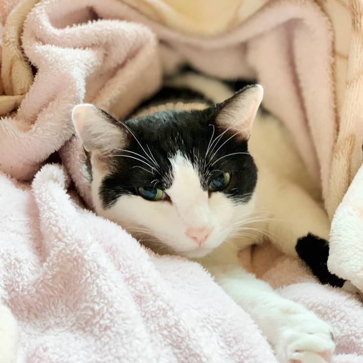 41168f0d 1fff 495c ac24 89eb55308913 1548727697500