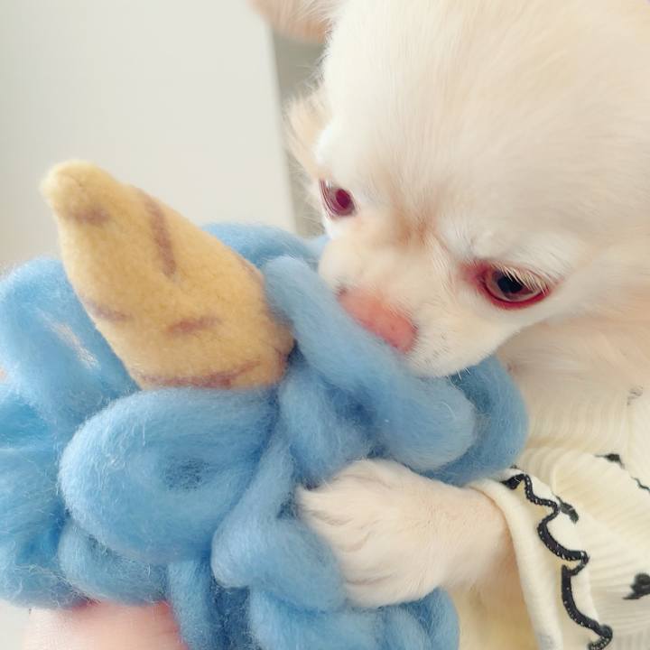 411709ae 1244 4a15 9b9b c4350204fa92 1705408233322