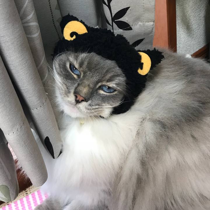 41174754 262a 436a a3ab b40e9cf68723 1518591279572