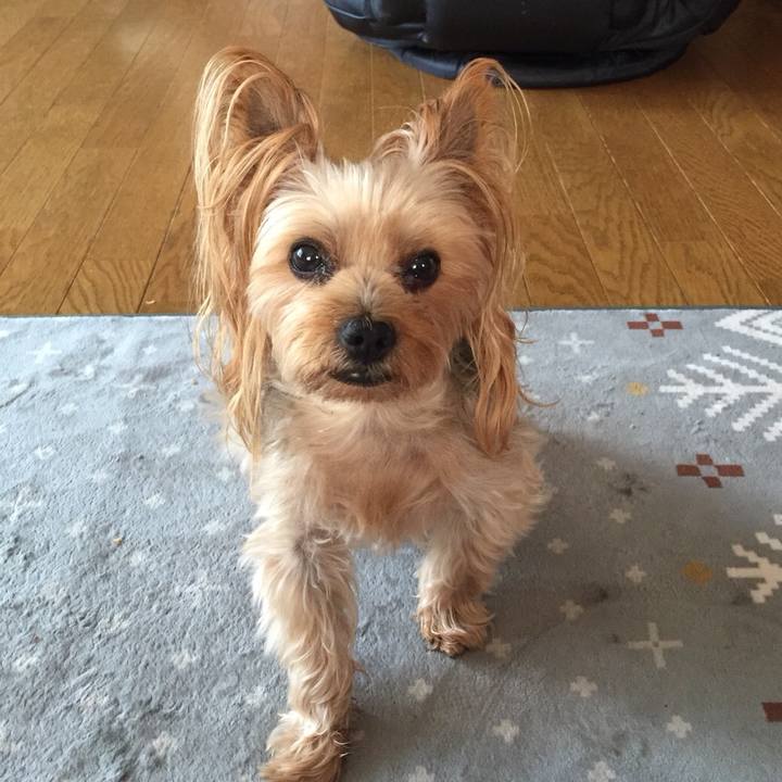 41174ad6 1e23 4e90 a799 9fcae5de4a41 1527976157281