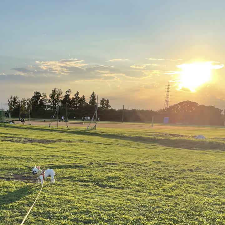 4117558a edf8 44b5 a8cd dcbc34eae640 1724145911159