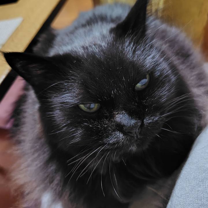 411762ff cc1a 4a70 adc3 0a15f472ff84 1731324212398