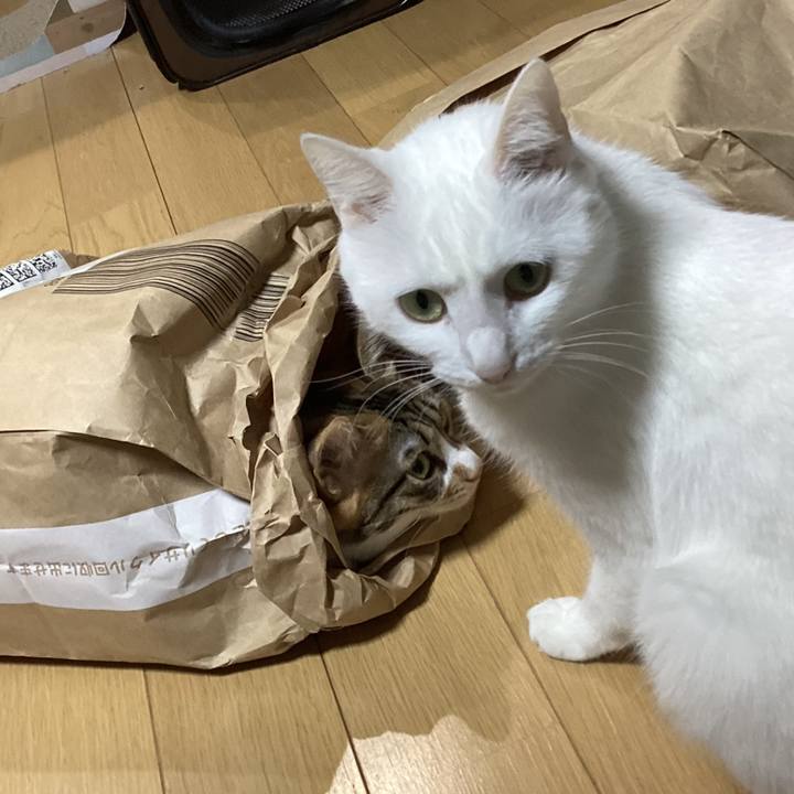 41176779 f457 4301 b085 9904ccdcb126 1705809206045