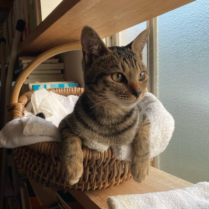 41179737 ba66 4e64 a3cb 7152cc67039e 1667607933539