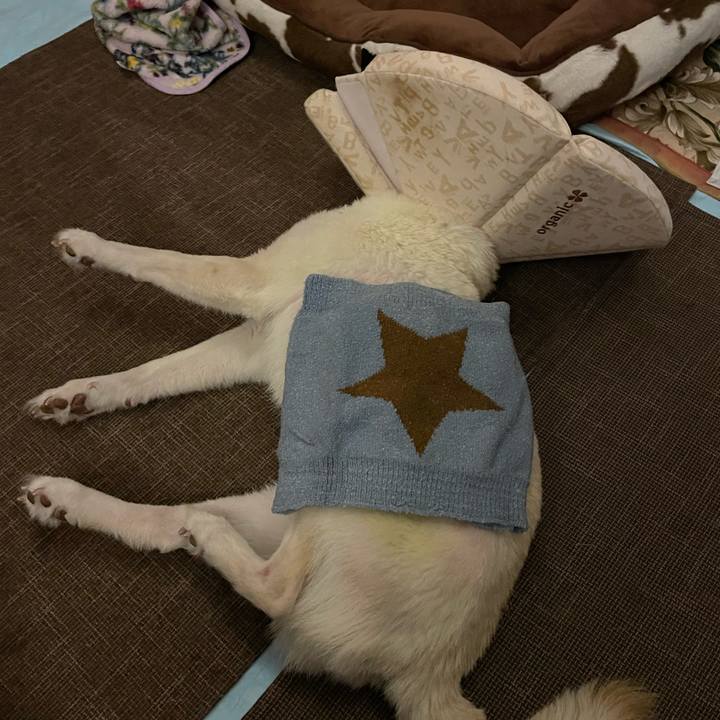 41179f63 43e2 4aba 8c39 78dd6cc5edb4 1667394271710