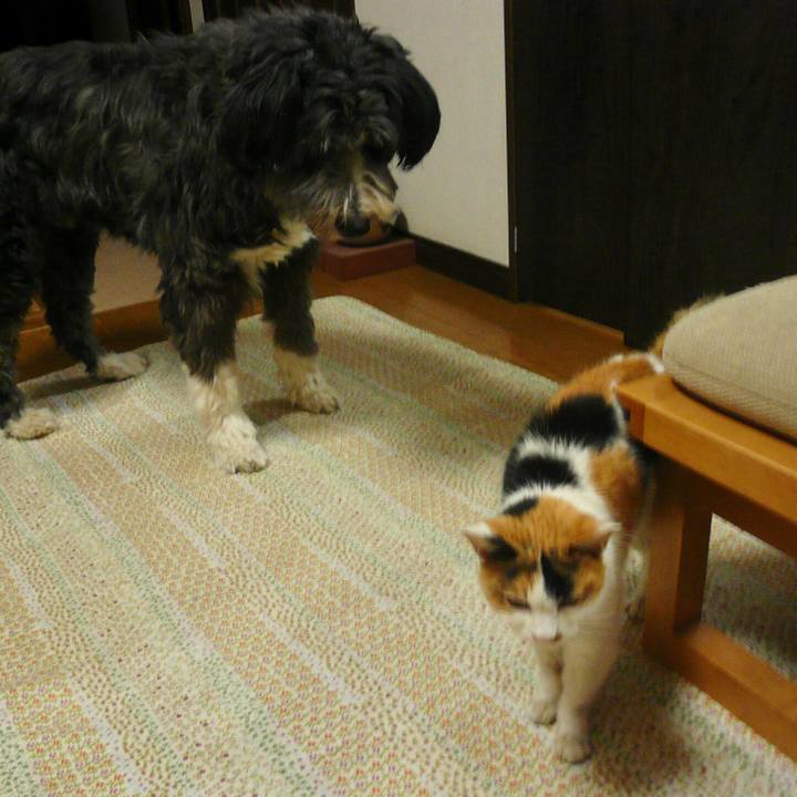 4117ae05 2052 4aa4 96e2 a9da9d3951a3 1580714282965