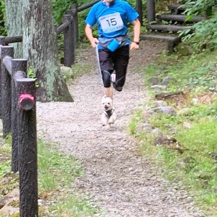 4117c373 20b8 4cd0 9760 e385897a88b9 1560729581823