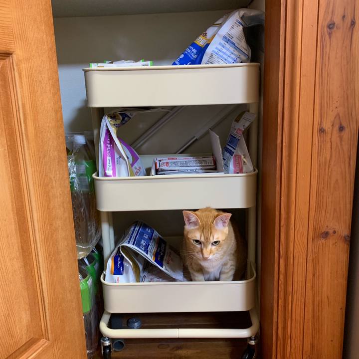 4117e826 42ad 471e a143 1955a88c0bc1 1557834539870