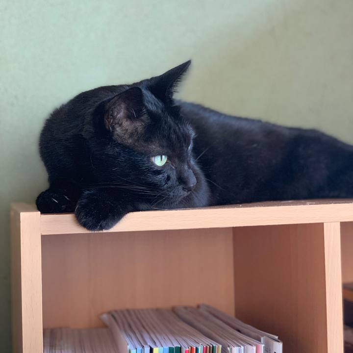 4117fd2e df38 4621 818a 4cc97c3d7d20 1567905967035