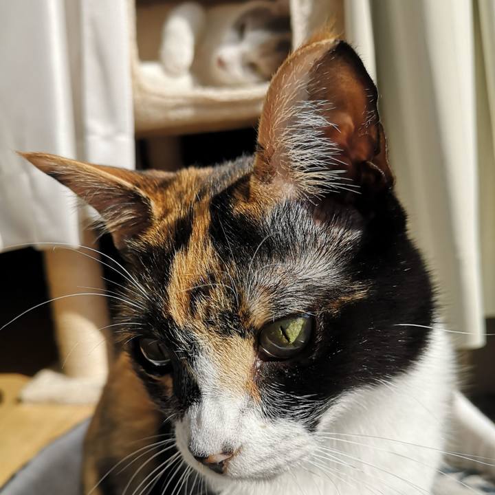 41180053 a0fe 4d0e 9abf 9f5aab6ee352 1618199323506