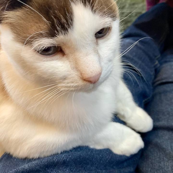 411821aa 01cd 42c5 b9e9 610e45ccea02 1642751196627