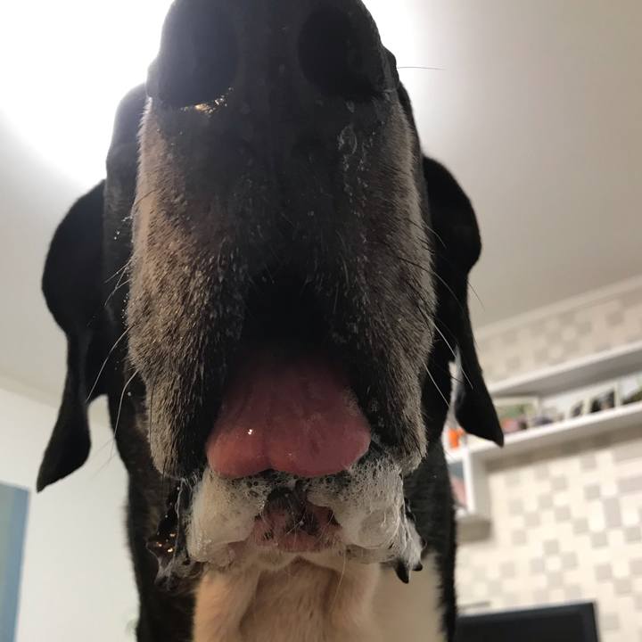 41182da1 3a4e 4c8c bd06 c1897b98eefb 1543230896146