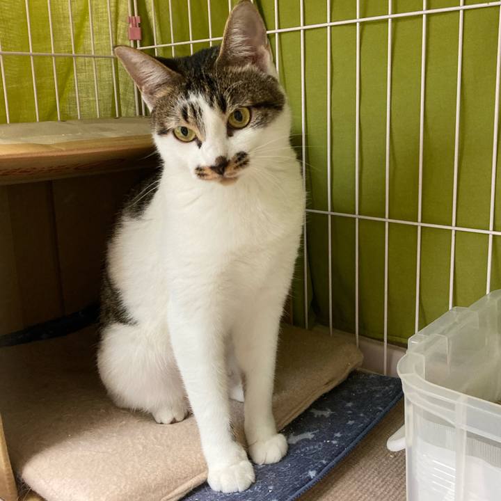 41183982 19a1 48df bc24 9b9d027f1022 1602823089292