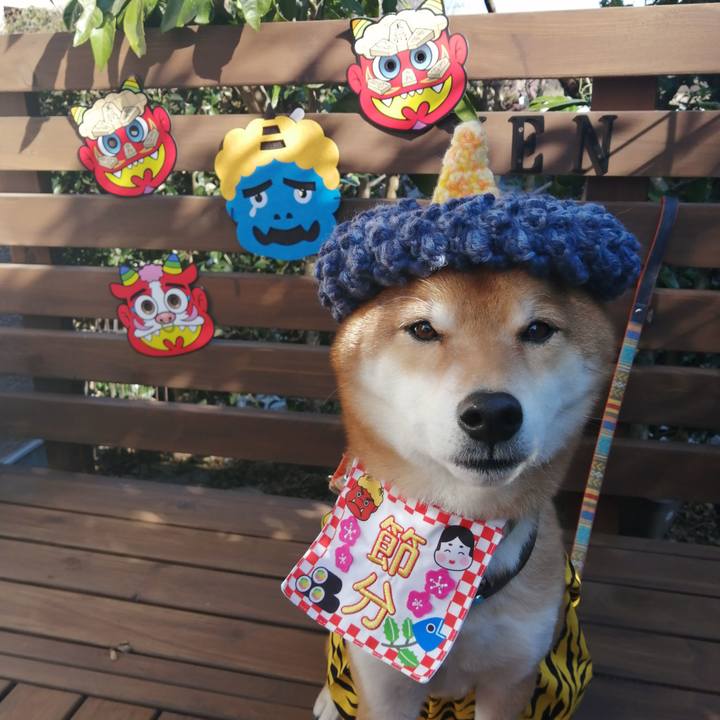 411861e0 67e9 4e73 87db d27e0d4fde57 1612279138814